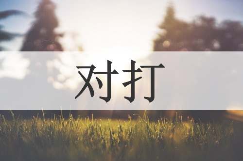 对打