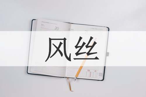 风丝