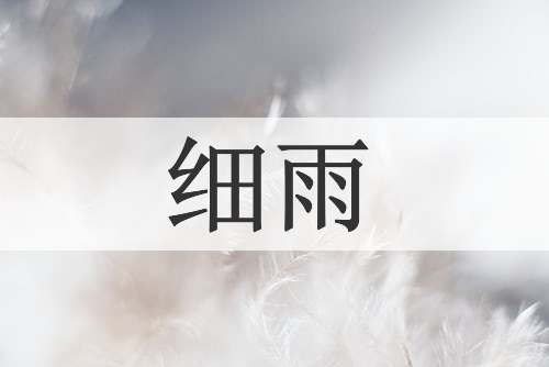 细雨