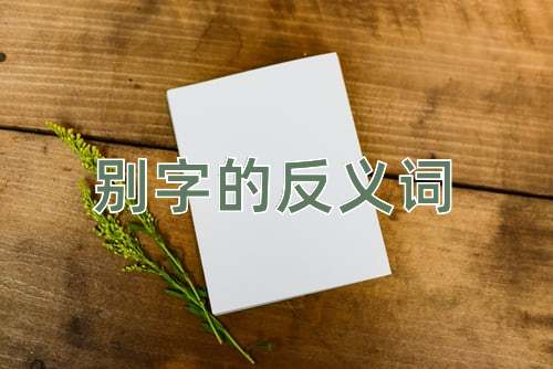 别字的反义词