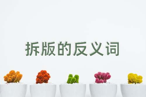 拆版的反义词