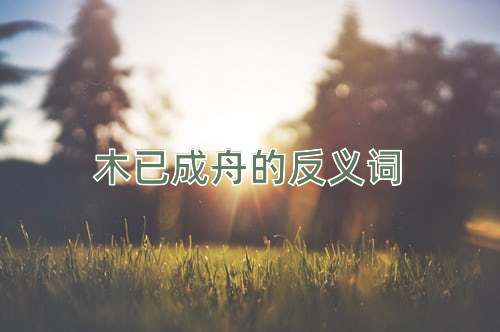 木已成舟的反义词