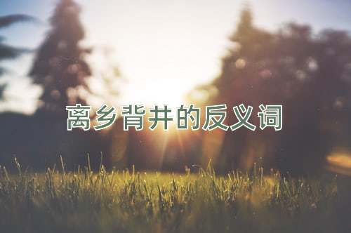 离乡背井的反义词