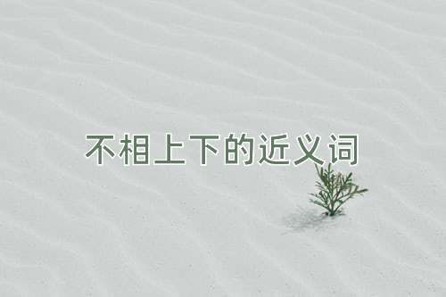 不相上下的近义词