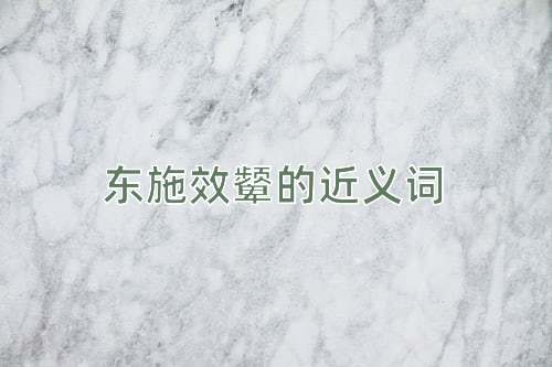 东施效颦的近义词