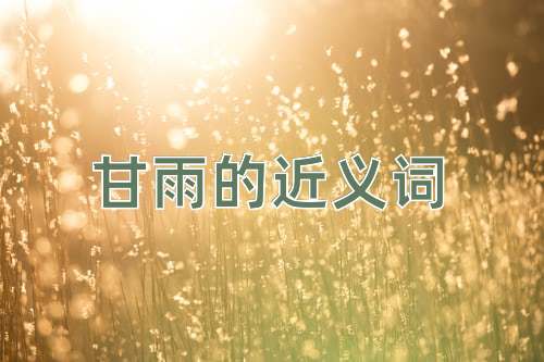 甘雨的近义词