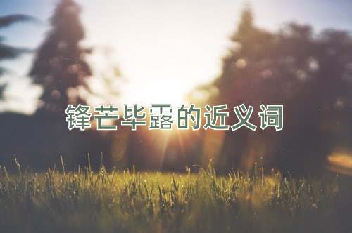 锋芒毕露的近义词